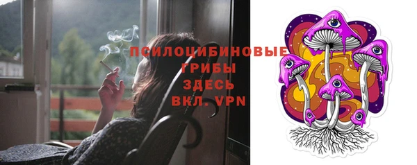 индика Ахтубинск