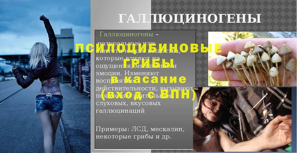 дурь Аша